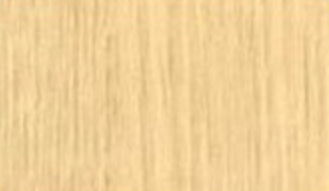 山毛櫸 BEECH